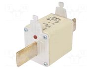Fuse: fuse; 100A; 500VAC; gG; industrial; NH3C HAGER
