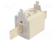 Fuse: fuse; 125A; 500VAC; gG; industrial; NH3C HAGER