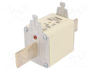 Fuse: fuse; 250A; 500VAC; gG; industrial; NH3C HAGER
