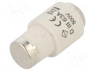 Fuse: fuse; 63A; 500VAC; gF,quick blow; DIII HAGER