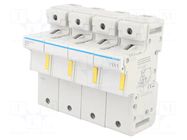 Fuse disconnector; 22x58mm; for DIN rail mounting; 125A; 690V HAGER