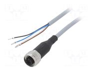 Cable: for sensors/automation; M12; PIN: 4; straight; 2.5m; plug FESTO