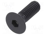 Screw; M4x12; 0.7; Head: countersunk; hex key; HEX 2,5mm; steel BOSSARD