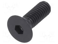 Screw; M4x12; 0.7; Head: countersunk; hex key; HEX 2.5mm; steel BOSSARD