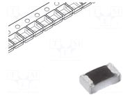 Resistor: thick film; SMD; 0402; 30.9kΩ; 100mW; ±1%; ERJH2RF PANASONIC