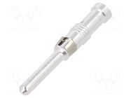 Contact; male; EPIC MC 2.5; gold-plated; 2.5mm2; turned contacts LAPP