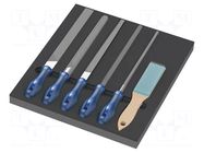 Kit: files; in a foam tray; Number of files: 6; Cut: 2 WERA