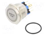 Switch: vandal resistant; Pos: 2; SPST-NO + SPST-NC; 2A/48VDC E-SWITCH