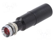 Indicator: LED; recessed; red; 230VAC; Ø8mm; IP67; metal,plastic CML INNOVATIVE TECHNOLOGIES