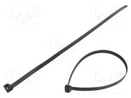 Cable tie; L: 480mm; W: 12.4mm; polyamide; 1200N; black; UL94V-2 BM GROUP