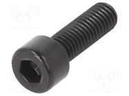 Screw; 1.25; Head: cheese head; hex key; HEX 6mm; steel; DIN 912 BOSSARD