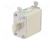 Fuse: fuse; 80A; 690VAC; aM; ceramic; NH00 DF ELECTRIC