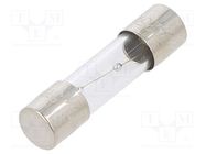 Fuse: fuse; time-lag; 1.25A; 250VAC; glass; 5x20mm; brass; TSC; bulk OPTIFUSE