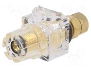 Connector: 3mm banana; socket; 60A; 54.5mm; black,transparent CLIFF