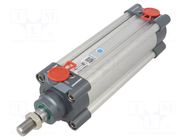 Profile cylinder; Piston diam: 20mm; Piston stroke: 125mm PNEUMAT