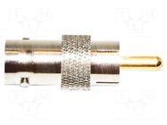 Connector: BNC; -50÷105°C; BNC male,RCA plug; 50Ω; male MUELLER ELECTRIC