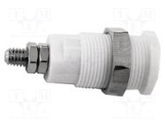 Connector: 4mm banana; 36A; 1kV; white; nickel plated; brass MUELLER ELECTRIC