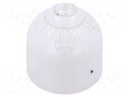 Signaller: lighting; flashing light; white; Sonos Pulse; 17÷60VDC KLAXON SIGNALS