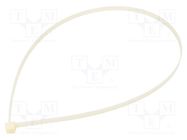 Cable tie; L: 810mm; W: 9mm; polyamide; 800N; natural; Ømax: 245mm BM GROUP