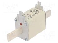 Fuse: fuse; 125A; 500VAC; gG; industrial; NH2 HAGER