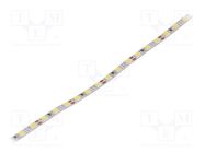 LED tape; white cold; 12V; LED/m: 120; 4mm; IP20; 120°; 9.6W/m FOSE