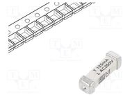 Fuse: fuse; time-lag; 125mA; 250VAC; 125VDC; SMD; ceramic; 3x10.1mm SCHURTER