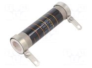 Resistor: power; 1MΩ; 25W OHMITE