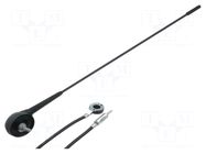 Antenna; car top,automotive; 0.395m; Alfa Romeo,Fiat,Lancia PER.PIC.