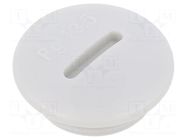 Stopper; PG13,5; IP56; polyamide; light grey; Thread: PG; 6mm BM GROUP