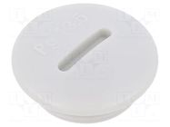 Stopper; PG13,5; IP56; polyamide; light grey; Thread: PG; 6mm BM GROUP