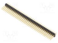 Connector: pin strips; pin header; male; PIN: 72; straight; 2.54mm FISCHER ELEKTRONIK