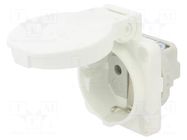 Connector: AC supply; socket; 2P+PE; 250VAC; 16A; white; PIN: 3; IP54 PCE