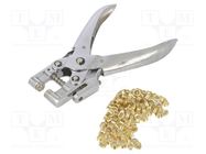 Pliers; for rivets,crimping; 160mm; Kit: rivet set PG TOOLS