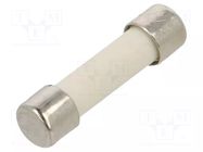 Fuse: fuse; 6.3A; 250VAC; ultra rapid; ceramic,cylindrical; 5x20mm SCHURTER