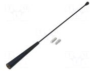 Antenna mast; 280mm; M5,M6; inside; Ford,Peugeot,Renault; black PER.PIC.