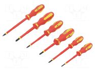 Kit: screwdrivers; insulated; 1kVAC; Phillips,slot; 6pcs. ERKO