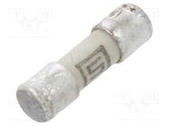 Fuse: fuse; quick blow; 125mA; 125VAC; 125VDC; ceramic,cylindrical SCHURTER