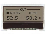 Display: LCD; graphical; 128x32; COG,FSTN Positive; RGB; LED; 1x17 NEWHAVEN DISPLAY INTERNATIONAL