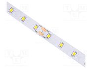 LED tape; white cold; 2835; LED/m: 64; 10mm; white PCB; IP20; 120° IPIXEL LED