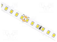 LED tape; white cold; 2835; 24V; LED/m: 128; 10mm; white PCB; IP20 IPIXEL LED