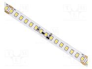 LED tape; white cold; 2835; 48V; LED/m: 150; 10mm; white PCB; IP20 IPIXEL LED