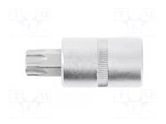 Socket; socket spanner,Torx®; Size: TX25; 1/2"; 55mm HÖGERT TECHNIK