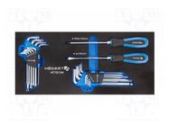 Kit: general purpose; Kit: Allen keys,Torx keys,screw x2; 20pcs. HÖGERT TECHNIK