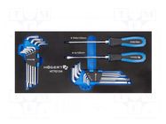 Kit: general purpose; Kit: Allen keys,Torx keys,screw x2; 20pcs. HÖGERT TECHNIK