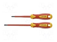 Kit: screwdrivers; insulated; 1kVAC; Phillips,slot; 2pcs. HÖGERT TECHNIK