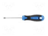 Screwdriver; Phillips; PH1; 75mm HÖGERT TECHNIK