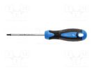 Screwdriver; Torx®; TX25; 100mm HÖGERT TECHNIK