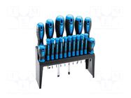 Phillips,slot,Torx®; Features: magnetic; 18pcs. HÖGERT TECHNIK