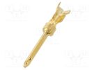 Contact; male; 20; brass; gold-plated; 0.2÷0.6mm2; 24AWG÷20AWG TE Connectivity