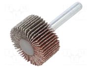 Grinding pin; Granularity: 60; Mounting: rod 6mm; flap,with lever PG PROFESSIONAL